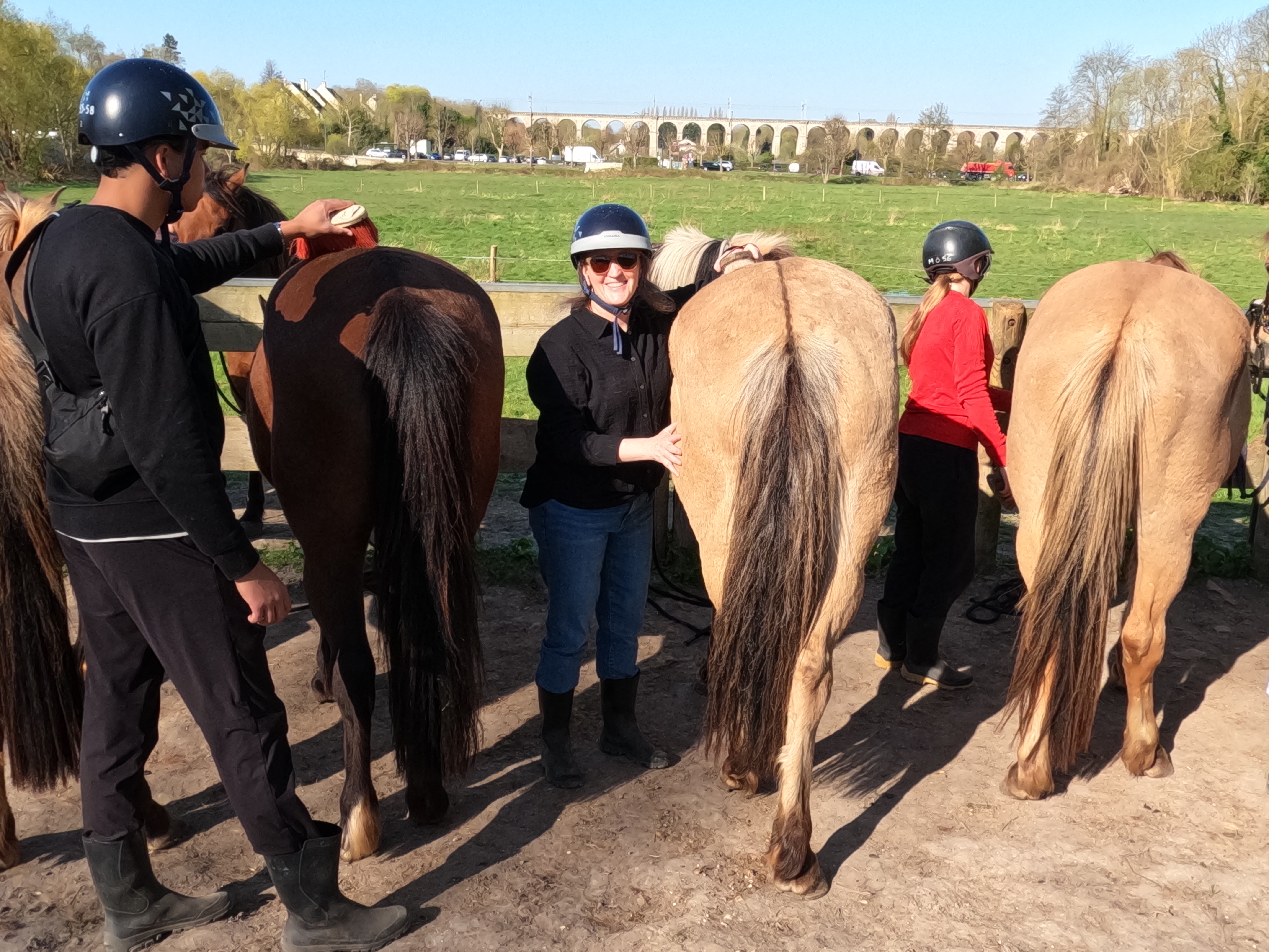 Group with horses